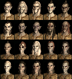 ꡼ No.007 | The Elder Scrolls V: SkyrimץǥθǼºݤ230ʬۤɿäƤΤǡäץ쥤ݡȤϤ