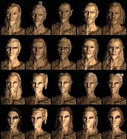 ꡼ No.008 | The Elder Scrolls V: SkyrimץǥθǼºݤ230ʬۤɿäƤΤǡäץ쥤ݡȤϤ