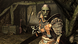 ꡼ No.015 | The Elder Scrolls V: SkyrimץǥθǼºݤ230ʬۤɿäƤΤǡäץ쥤ݡȤϤ