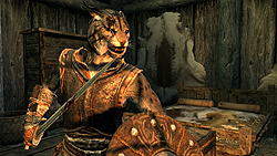 ꡼ No.016 | The Elder Scrolls V: SkyrimץǥθǼºݤ230ʬۤɿäƤΤǡäץ쥤ݡȤϤ