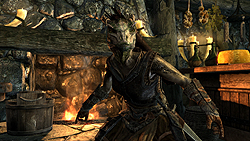 ꡼ No.018 | The Elder Scrolls V: SkyrimץǥθǼºݤ230ʬۤɿäƤΤǡäץ쥤ݡȤϤ