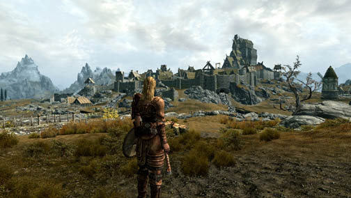 ꡼ No.020 | The Elder Scrolls V: SkyrimץǥθǼºݤ230ʬۤɿäƤΤǡäץ쥤ݡȤϤ