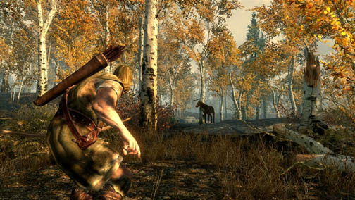 ꡼ No.038 | The Elder Scrolls V: SkyrimץǥθǼºݤ230ʬۤɿäƤΤǡäץ쥤ݡȤϤ