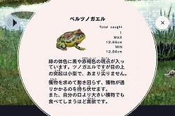 ꡼ No.011 | GhMiPhoneѥFROG MINUTESפˤϡñʤͷ³ʤ̥Ϥ