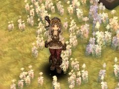 ��Tree of Savior��ï�Ǥ⻲�äǤ��륵���С���٥ƥ��Ȥ��������ȡ��»ܴ��֤�12��14��12��00�ޤ�