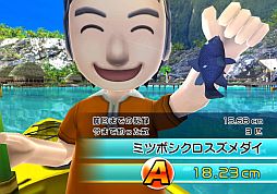 画像ギャラリー No.003のサムネイル画像 / 「ファミリーフィッシング」,2月8日に「ミツボシクロスズメダイ」が放流予定