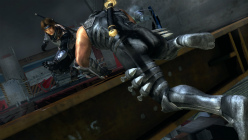꡼ No.005Υͥ / DEAD OR ALIVE 5פƱȯ䤵뤳ȤȽǥΰ쿷ǥ饯Ϥʹ֤餷ɬƮϤäɼ