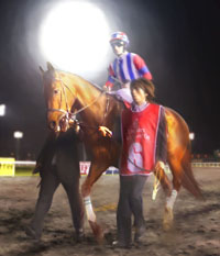 ꡼ No.004 | Winning Post 7 2012פPC/PS3/PSPǯо졣PCǤ2012ǯ217PS3/PSPǤ315ȯ