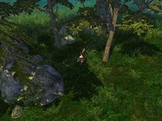 ���������꡼ No.003�Υ���ͥ������ / �ּ�����ͷ���פΥ����ץ�¥ƥ��Ȥ�4��12��15��00�˥������ȡ����üԸ��ꥭ���ڡ���Ⳬ��