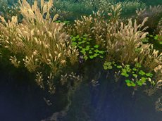 ���������꡼ No.006�Υ���ͥ������ / �ּ�����ͷ���פΥ����ץ�¥ƥ��Ȥ�4��12��15��00�˥������ȡ����üԸ��ꥭ���ڡ���Ⳬ��