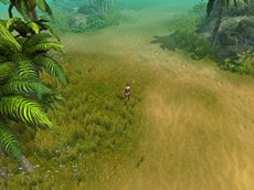 ���������꡼ No.010�Υ���ͥ������ / �ּ�����ͷ���פΥ����ץ�¥ƥ��Ȥ�4��12��15��00�˥������ȡ����üԸ��ꥭ���ڡ���Ⳬ��