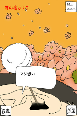 ���������꡼ No.004�Υ���ͥ������ / ������ˤ���ʤ�Τ��ġġ� ���ޥ۸��������奢�륲����������μ������פ�Ҳ𤹤�֡ʤۤܡ��������ޥۥ������̿�����1510��