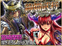 ꡼ No.001Υͥ / եƥ̡ȡܺθꥫɤо