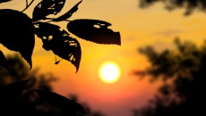 ���������꡼ No.009�Υ���ͥ������ / ��۰¼���׸��������Ȥ������������ץ˥󥰥ࡼ�ӡ����������θ�����ɲó��Ť�����