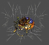 ���������꡼ No.005�Υ���ͥ������ / ��۰¼���ס����������ȹ����ǡ�ζ���ס�����פʤ�10�ΤΡȿƶ̡ɤ����餫�ˡ�ŹƬ�θ�����2�Ƥξ�����ץ����å�