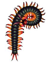 ���������꡼ No.006�Υ���ͥ������ / ��۰¼���ס����������ȹ����ǡ�ζ���ס�����פʤ�10�ΤΡȿƶ̡ɤ����餫�ˡ�ŹƬ�θ�����2�Ƥξ�����ץ����å�