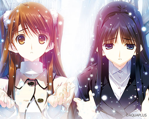 WHITE ALBUM2 ر 2023 reunionס1216ǳšͥο褵߷ ߤŷܿνб餬