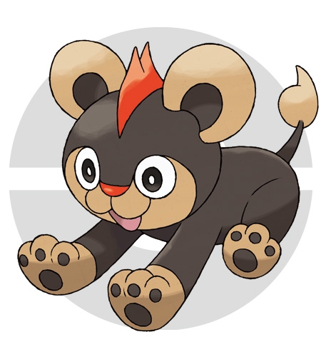 ���������꡼ No.038�Υ���ͥ������ / �֥ݥ��åȥ�󥹥��� X��Y�ס������᥿����ǽв񤦥���饯�����֥��ʡס֥ƥ�����Ρס֥ȥ��Сס֥����/�����פξ���ʤɤ������ˡ����ݥ�����