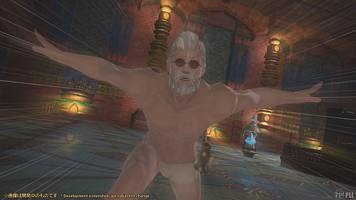 画像ギャラリー No.013のサムネイル画像 / 「FFXIV」パッチ6.2インタビュー。アナザーダンジョンの“ヤバさ”やレイド零式の公開をずらしたことなどについてを聞いた