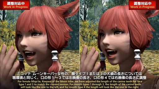 ꡼ No.012 | FFXIVΥ쥬פɲä뿷֤ξܺ٤¸֤ο󤬸줿֥ץǥ塼쥿LIVEפƤϤ