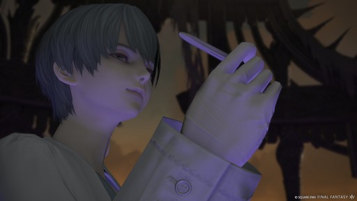 ꡼ No.030 | Υ󥿥ӥ塼ϡFFXIVפκǿåץǡȤ˸Ѳȿʲѥå7.3ؤƻɸɤˤĤƵľʹ