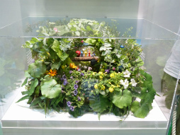 画像ギャラリー No.007のサムネイル画像 / 「パズドラZ」「ピクミン3」「妖怪ウォッチ」など,最新ゲームがプレイアブル出展された「次世代ワールドホビーフェア '13 Summer」をレポート