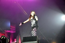 ���������꡼ No.050�Υ���ͥ������ / ���㥹�ȿؤΥ����ץ�Ψ�ϲ��ǹ⡩���֥ƥ��륺 ���� ����ե��˥� ��˥��ʥ�ȥѥå��פ�ȯɽ���줿�֥ƥ��륺 ���� �ե����ƥ��Х� 2013��1���ܥ�ݡ���