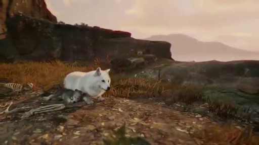 WiLDץʥ󥹥ȥ쥤顼