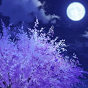 ���������꡼ No.055�Υ���ͥ������ / NET�����MJ�ס�����ܥ��٥�ȡ�P�����쵳����CUP���������ϡ��������Ф���ꥢ���ƥ�ʤɤ������ǽ