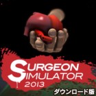 サージョン シミュレーター 2013 日本語版