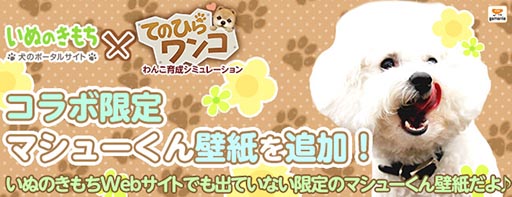 画像集#002のサムネイル/「てのひらワンコ」,いぬのきもちのマシュー君の限定壁紙が登場