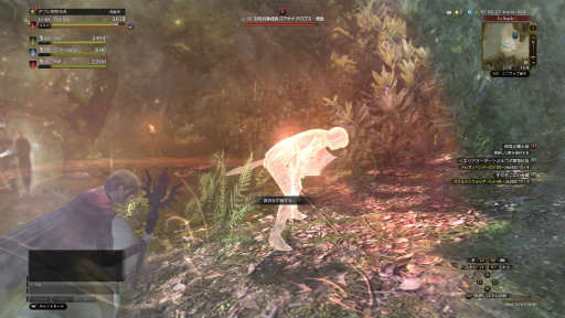 Dragon's Dogma Onlineפ򺣤Ϥ᤿顤֤ǿΦեˤɤ失뤫 ץ쥤䡼ΤƤߤ