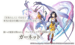 ���������꡼ No.024�Υ���ͥ������ / �֥��ʥ������ǥ� ������Ķ����ǭ�פǡ֥ե����ʥ�ե��󥿥���IX�פȤΥ���ܤ�12��4���˥������ȡ��������ӥӤ���֤ˤʤ�