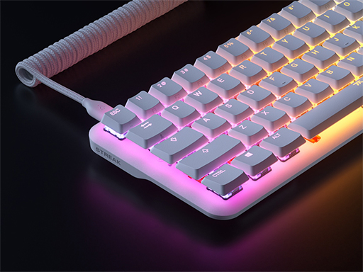 ꡼ No.006 | Fnatic GearѸ쥭ܡɤإåѥǥ뤬о