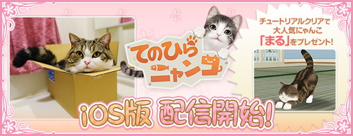 画像ギャラリー No.001のサムネイル画像 / iOS版「てのひらニャンコ」が配信開始。Android版は7月上旬のリリースを予定