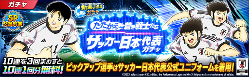 ���������꡼ No.002�Υ���ͥ������ / �֥���ץƥ��� �����������ɥ꡼���������ס����å���������ɽ��������������˥ե���������Ѥ������꤬�о�