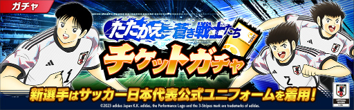 ���������꡼ No.003�Υ���ͥ������ / �֥���ץƥ��� �����������ɥ꡼���������ס����å���������ɽ��������������˥ե���������Ѥ������꤬�о�