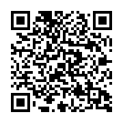 ꡼ No.010Υͥ / ˥֥֥饤֡ѡ!!פȡȽոŵޤĤɤܡꥸʥ륰å륭ڡ»