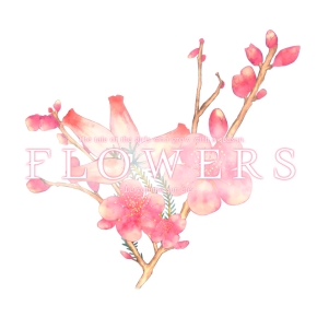画像ギャラリー No.001のサムネイル画像 / 「百合」をテーマしたミステリーアドベンチャーの続編,「FLOWERS 夏篇」のAndroid版が配信に