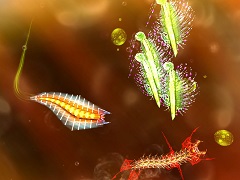 深海でいろいろな水生生物を育てよう。Nintendo Switch向けソフト「進化のひみつ」が5月17日に配信開始