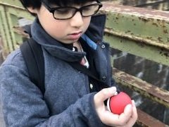 世代を超えて一緒に楽しめる。「ポケットモンスター Let’s Go! ピカチュウ・Let’s Go! イーブイ」を親子で遊んでみた