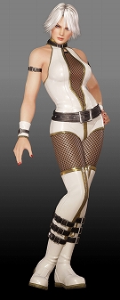 DEAD OR ALIVE 6פιθǤۿ222232֡饤Ρȥ󥯥ޥåɤ䥹ȡ꡼פʤɤץ쥤ǽѲǽ饯24̾