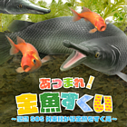 あつまれ!金魚すくい 〜緊急SOS外来種から金魚をすくえ〜