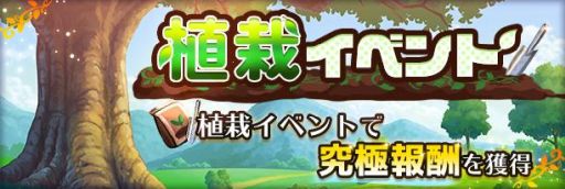 ���������꡼ No.006�Υ���ͥ������ / �֥ʥ��ȥᥢ�����Υ��פǲֻ�������ʤɤΥ�����ǥ󥦥��������̥��٥�Ȥ�����