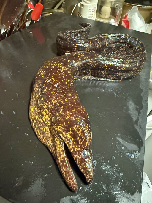 ���������꡼ No.001�Υ���ͥ������ / ��METAL GEAR SOLID ��: SNAKE EATER�� �˽ФƤ�������Υĥ��Υ����⤦�ޤ����⤷��ʤ�����ʪ�򿩤٤롣���Υ���ܥ��ե���Menu 080