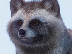 動物園経営シム「プラネット ズー」,ホンドタヌキやラーテルなどアジアに生息する7種類の動物を加える「Asia Animal Pack」が配信開始