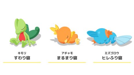 ꡼ No.005 | Pok&#233;mon Sleepס䥢⡤ߥλѤǧǤ2ǯǰΥꥢ륤٥ȤⳫŷ