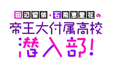 ꡼ No.002Υͥ / ϻڥǥƥåʥȡסȡα͡Τ֤벦°⹻#18ɤ511ۿ
