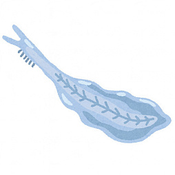 ꡼ No.001Υͥ / ȥС Order 71֥ɥޥ׺ǿȯ䤵줿顤ޥ˻륲ˤ򿶤֤äƤߤ褦1970ǯ夫