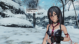 ���������꡼ No.009�Υ���ͥ������ / ��PSO2�פ��黲�魯�붯Ũ�롼�����Ȥϡ�����NGS�פ��о줹��륤�Ρ��롼�������ñ���⡣����̤�ץ쥤�Ǥ⡤����ǰ¿���